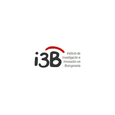 i3B 3 i3b